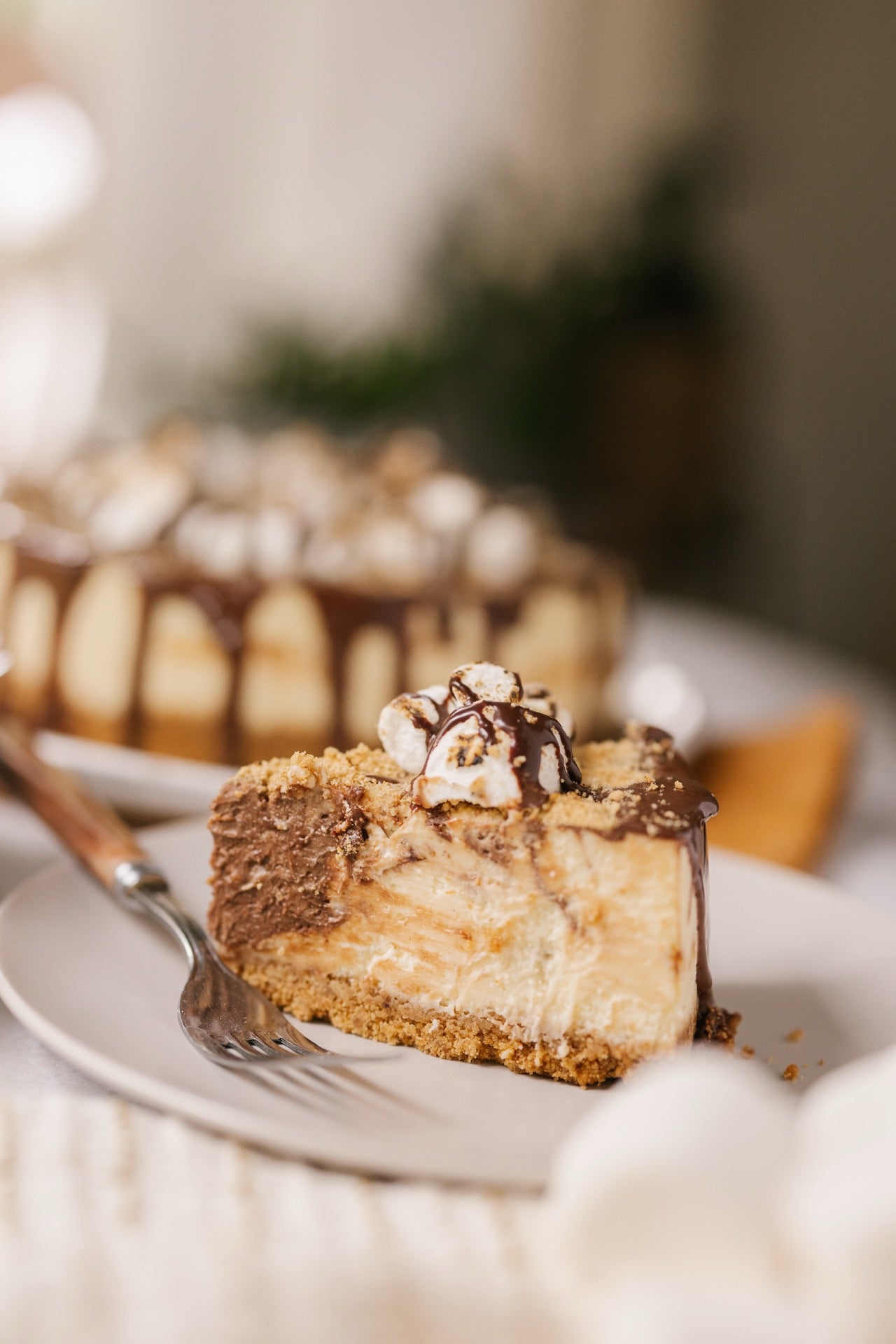 S'mores Cheesecake SALE