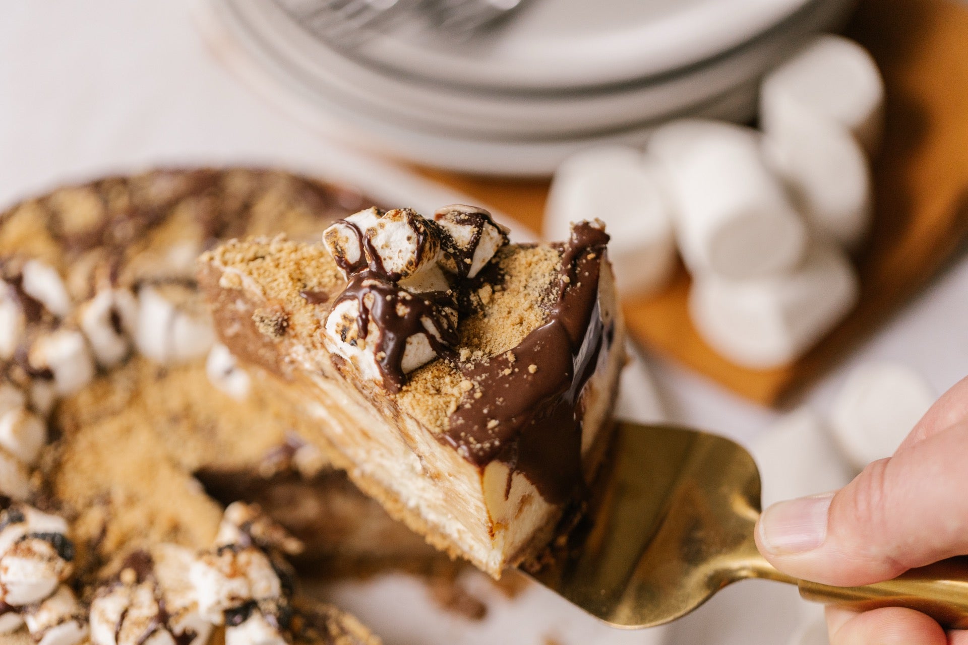 S'mores Cheesecake SALE